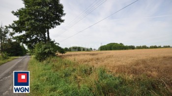 Działka budowlana na sprzedaż Dobryszyce